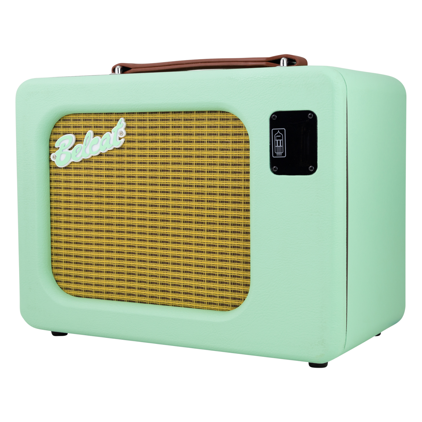 Belcat PTA10 Valve Guitar Combo Amplifier - Mint Green — view 2
