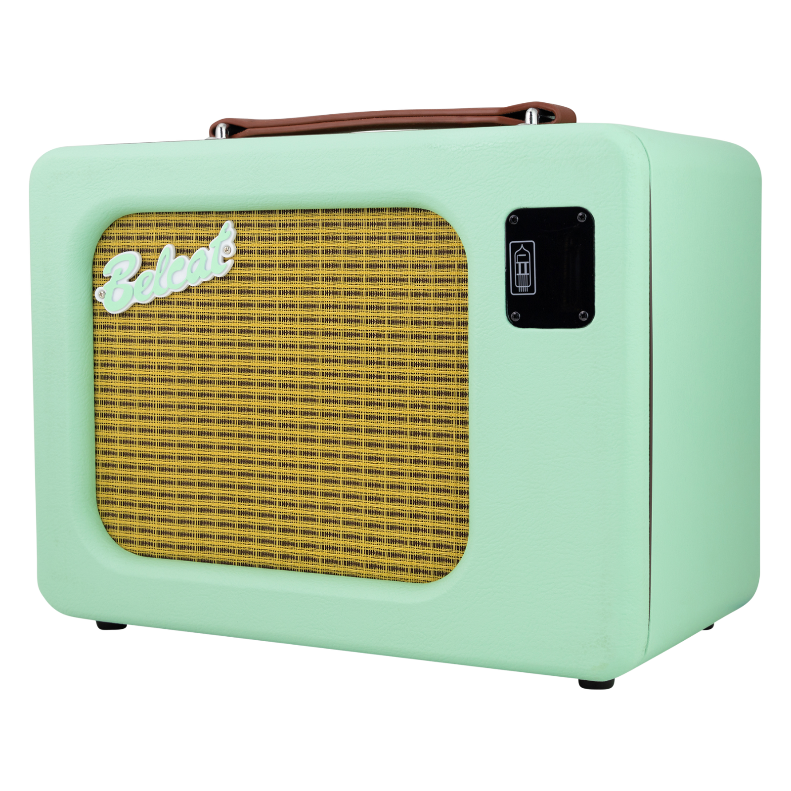 Belcat PTA10 Valve Guitar Combo Amplifier - Mint Green — view 2