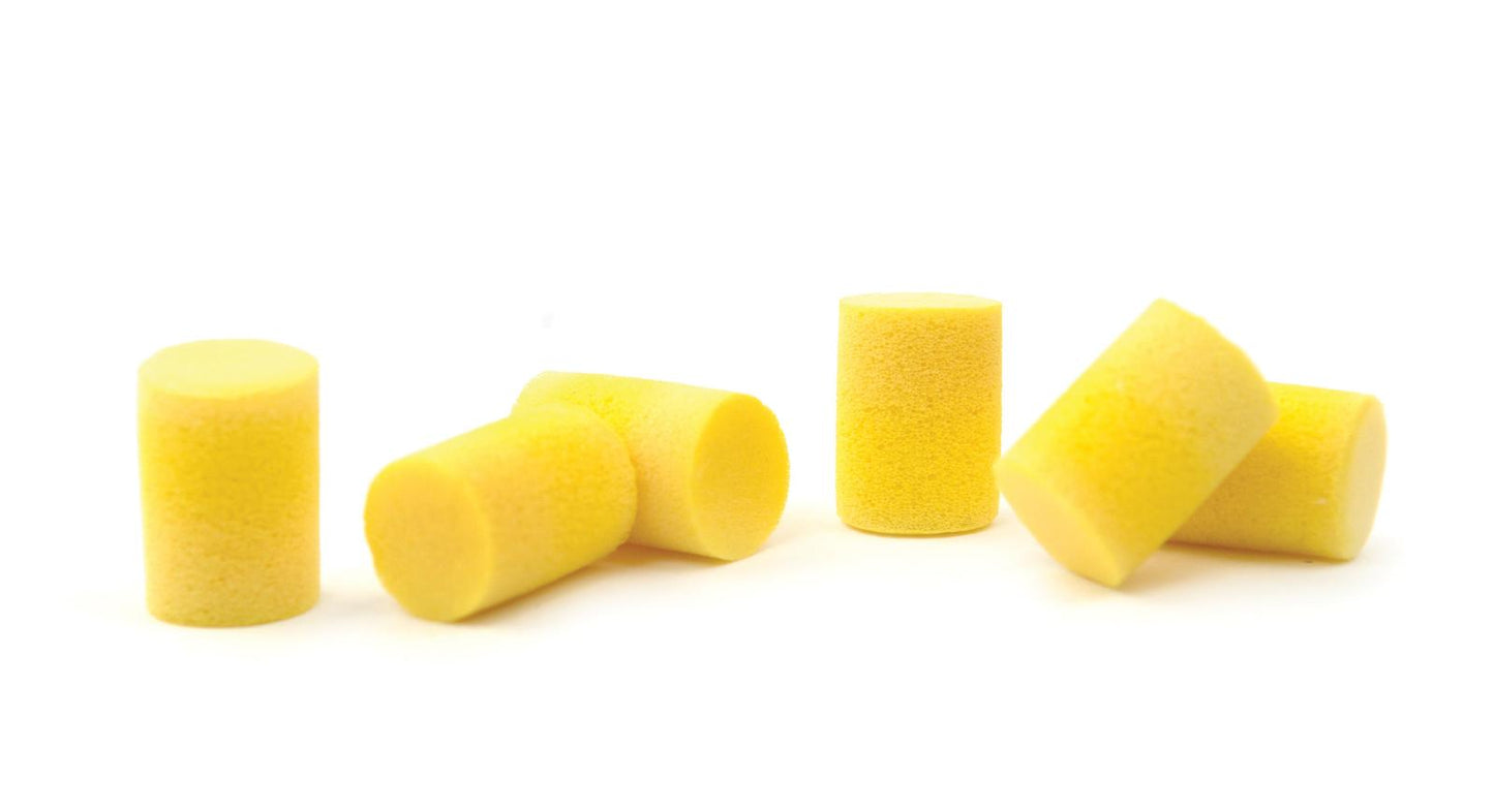 Planet Waves Comfort Fit Foam Ear Plugs, 3 Pair