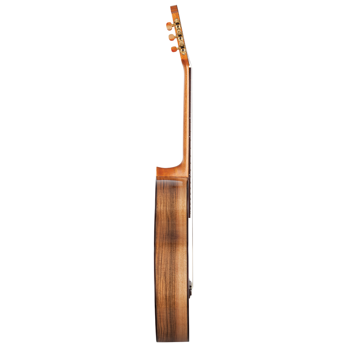 Kremona Rondo RS Solid Spruce Walnut Classical Guitar with Case — view 3