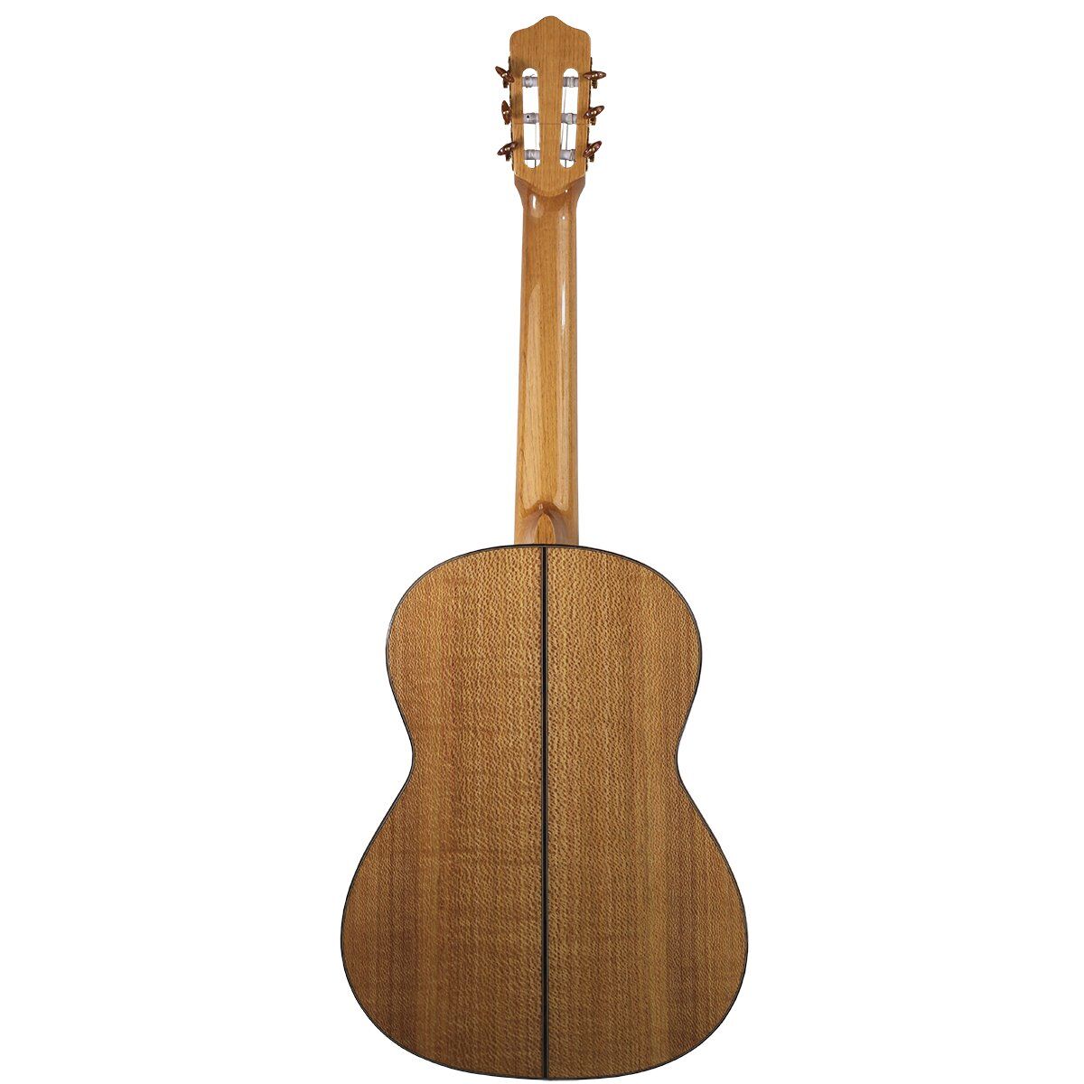 Kremona Rosa Diva Solid Spruce/Silver Oak Guitar w/Case & LR Baggs Pickup — view 2