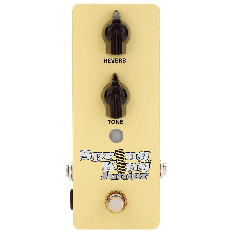 RSKJ1