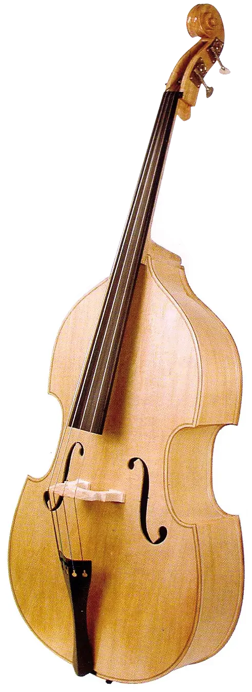 Stentor 3/4 Size Rock-a-Billy Double Bass Outfit - Natural Gloss