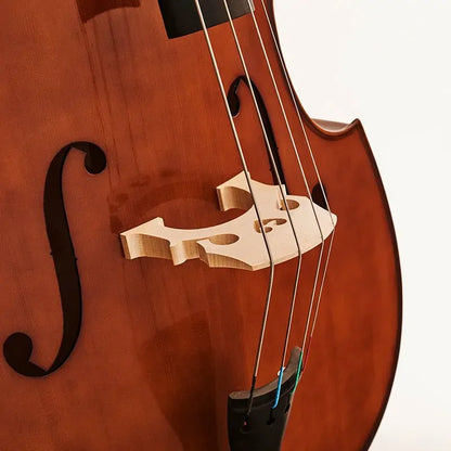 S1953