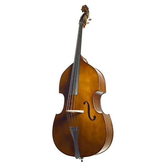 Stentor 3/4 Size Double Bass - Mid Chestnut