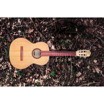 Kremona S65CGG Sofia Green Globe Classical Guitar with Premium Case — view 5