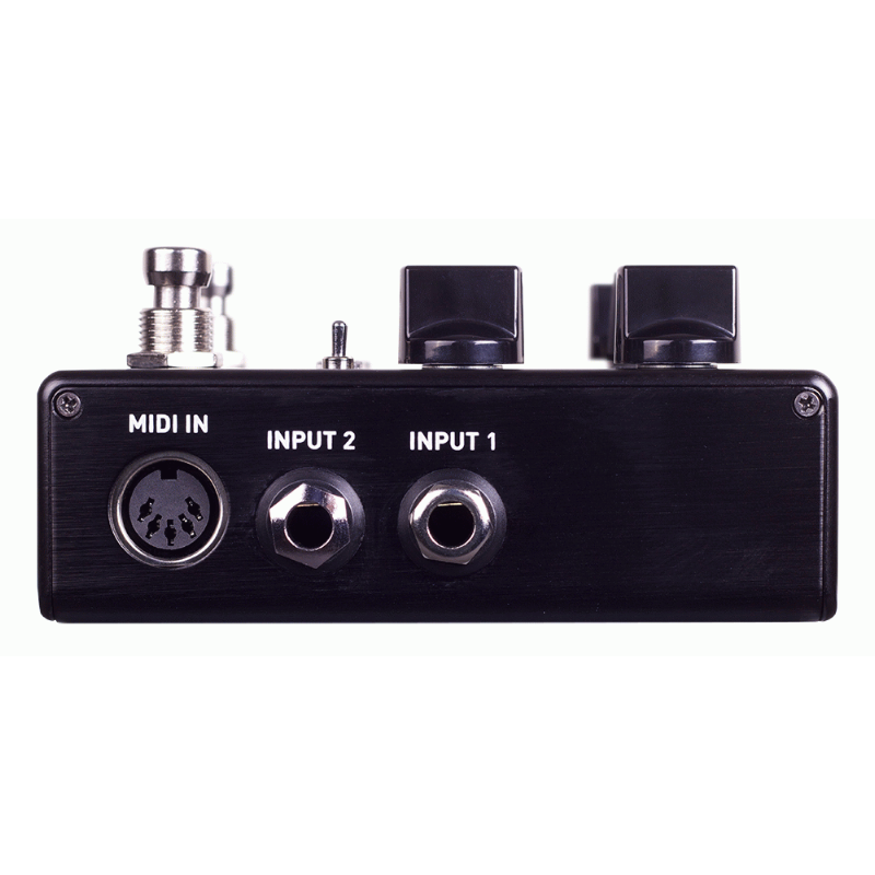 Source Audio Encounter Ambient Delay and Reverb — view 2