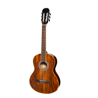 Sanchez SC-36G-RWD 3/4 Size Acoustic Classical Guitar Rosewood Natural Gloss
