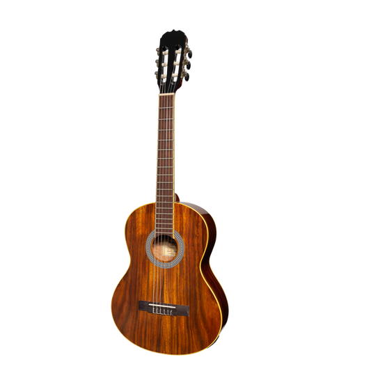Sanchez SC-36G-RWD 3/4 Size Acoustic Classical Guitar Rosewood Natural Gloss