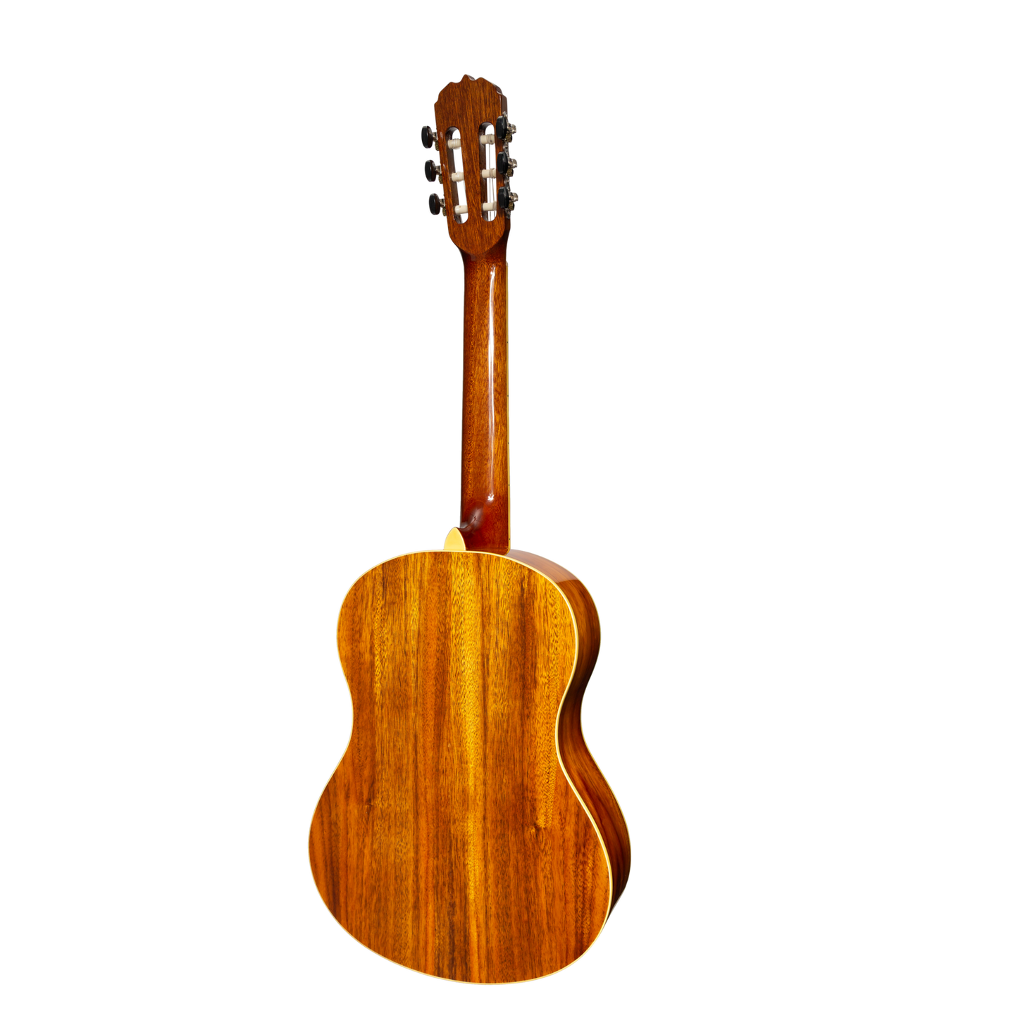Sanchez SC-39G-RWD Full Size Student Classical Acoustic Guitar with Rosewood Finish — view 2
