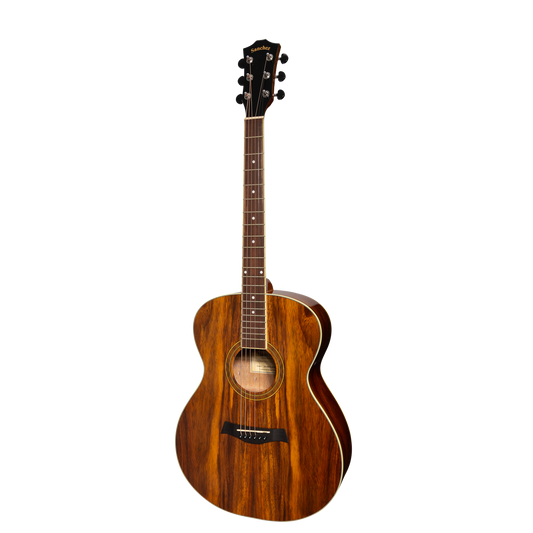 Sanchez SF-18ETG-RWD Acoustic Electric Small Body Guitar Rosewood Gloss