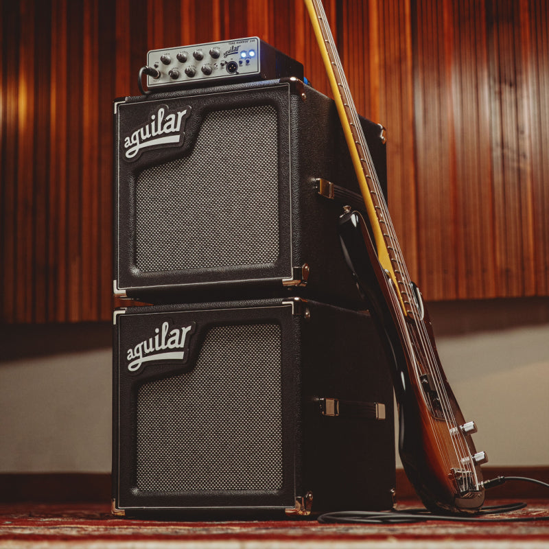 Aguilar SL 110 8 Ohm Bass Cabinet — view 3