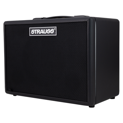 Strauss GN15 15 Watt Vintage Guitar Combo Amplifier with Built-in Overdrive and Delay — view 2