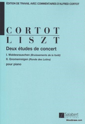 SLB00389400
