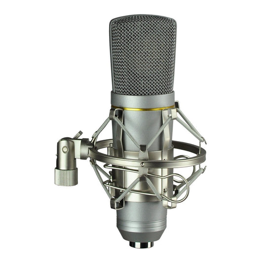 SoundArt Large Diaphragm Professional Condenser Microphone with Cradle