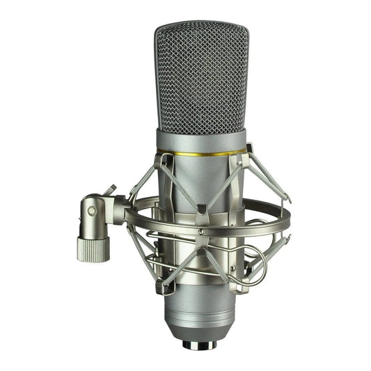 SoundArt SM-USB Large Diaphragm Condenser Microphone with Shock Mount & Carry Case
