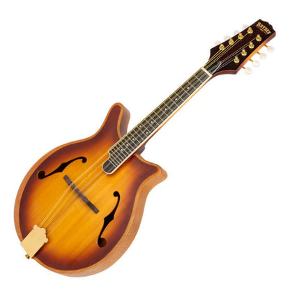 Bryden SMA80 Contemporary Arch Top Mandolin with Bevel Edges and Gold Hardware — view 2