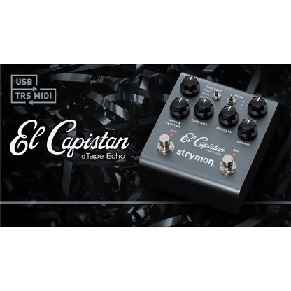 Strymon El Capistan V2 Tape Delay Pedal with MIDI Control and Expression Input — view 4
