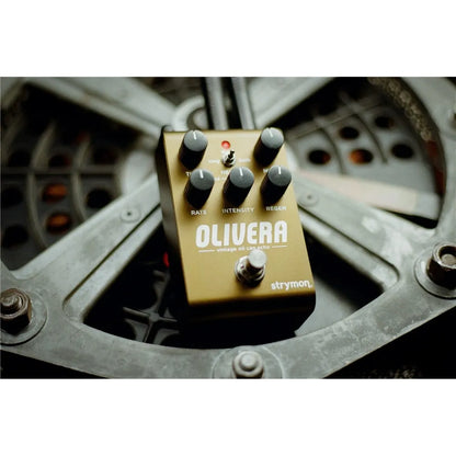 Strymon Olivera Vintage Oil Can Echo Delay Pedal — view 5