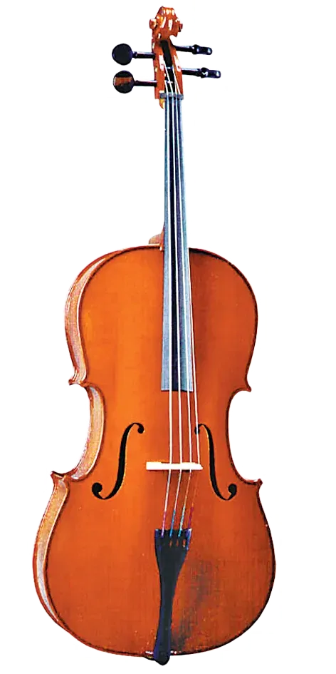 Valencia 4/4 Size Cello Outfit Traditional Chestnut with Solid Carved Top and Bow