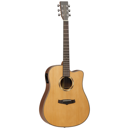Tanglewood 20th Anniversary Dreanought CE w' Case