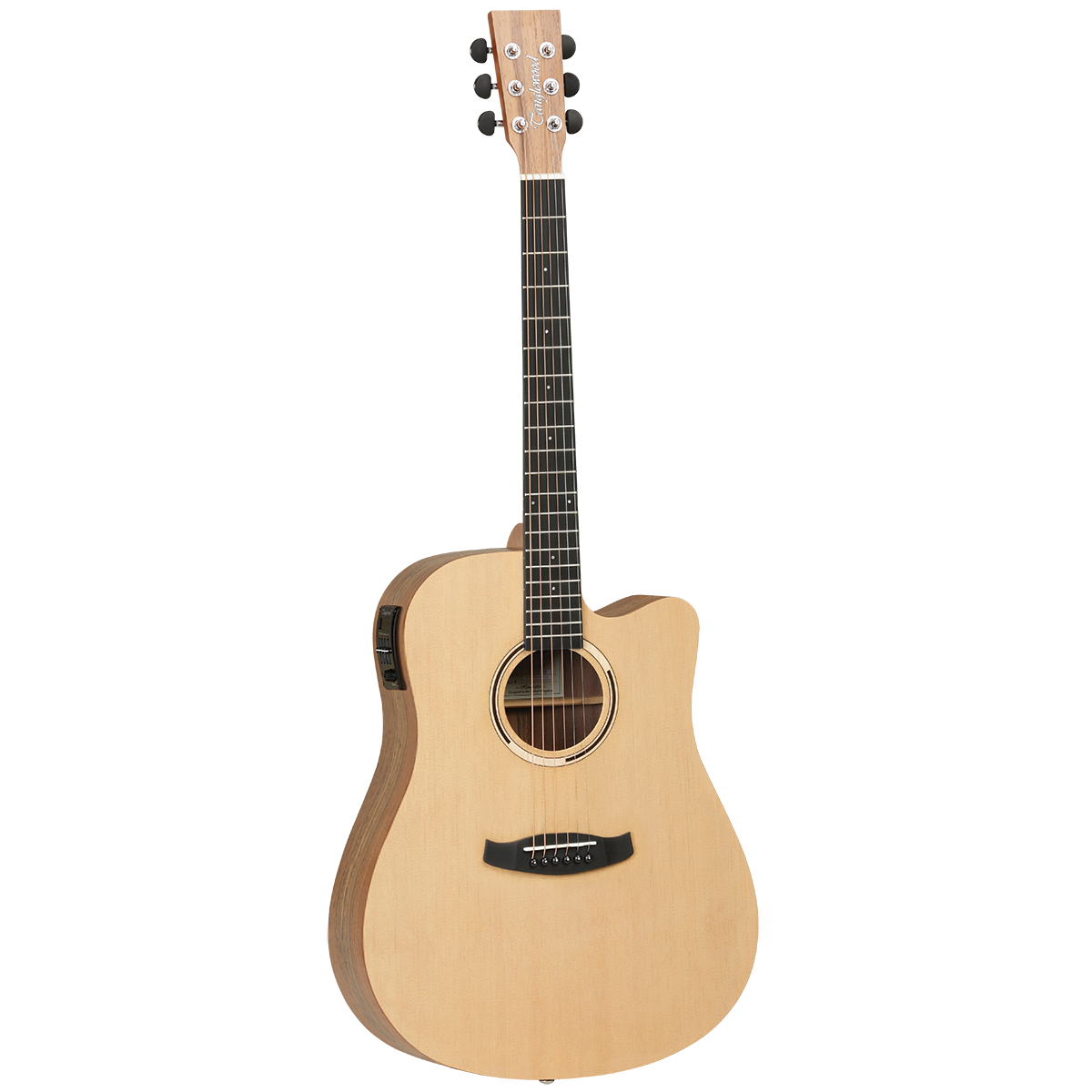 Tanglewood TDBTDCEHR Discovery Exotic Dreadnought C/E Hawaiian Rainwood with DCM Premium Case (TDBTDCEHR-P) — view 2