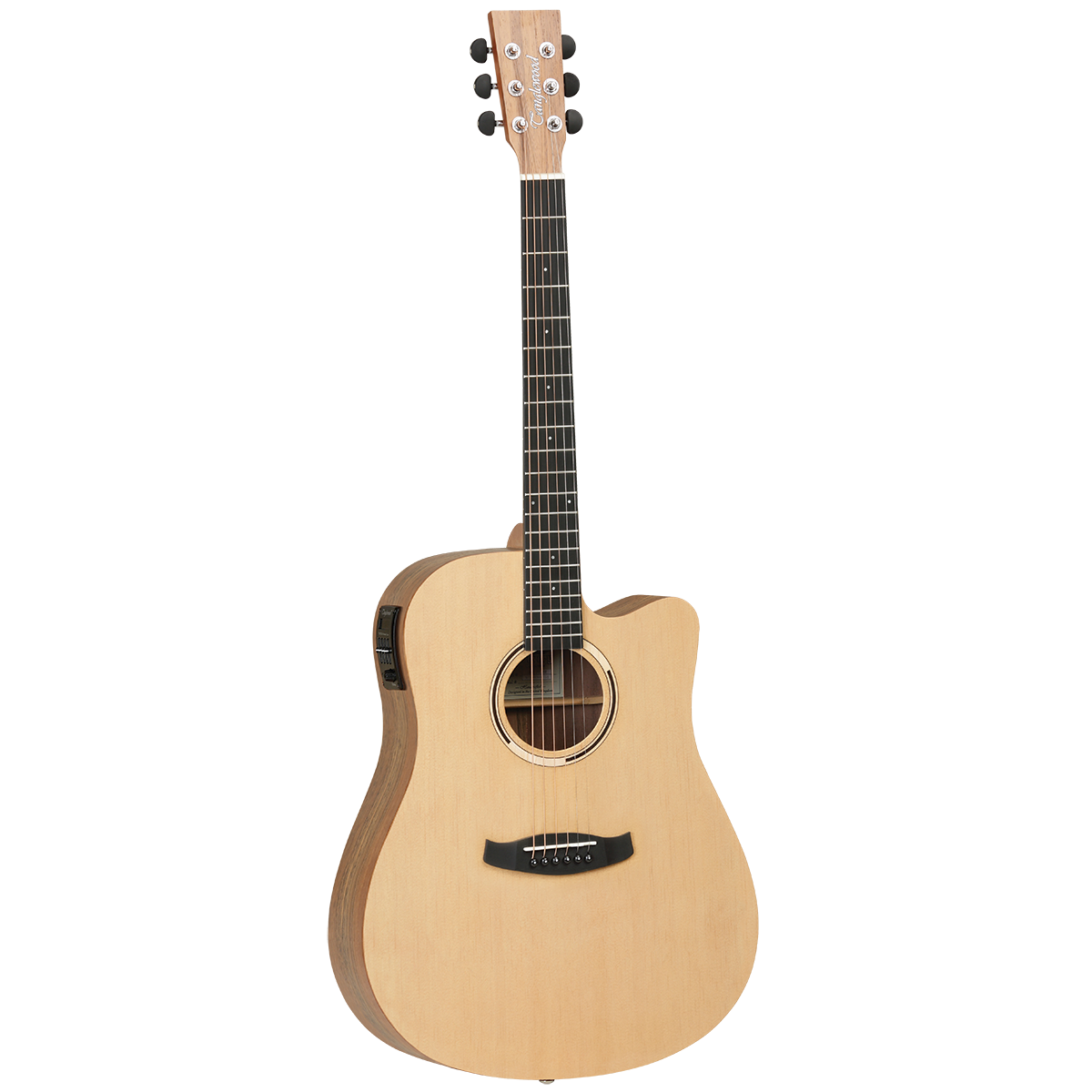 Tanglewood TDBTDCEHR Discovery Exotic Dreadnought Cutaway Electric Guitar Hawaiian Rainwood