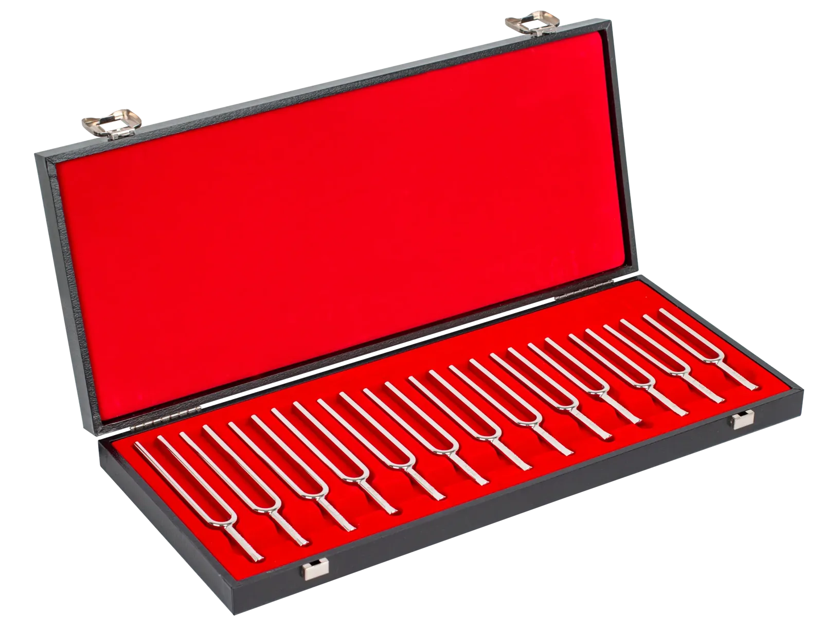 Wittner TF13 Tuning Fork Set C-C Chromatic with Wooden Case — view 2