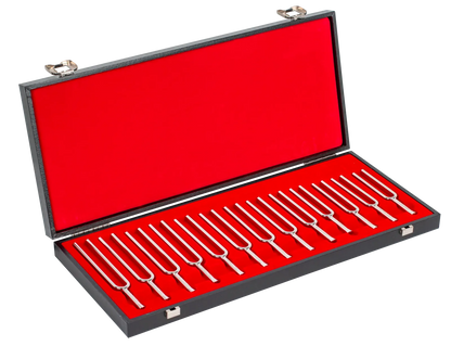Wittner TF13 Tuning Fork Set C-C Chromatic with Wooden Case — view 2