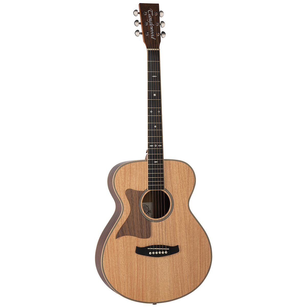Tanglewood TRFHRLH Reunion Left Handed Folk Guitar Australian Red Cedar Top