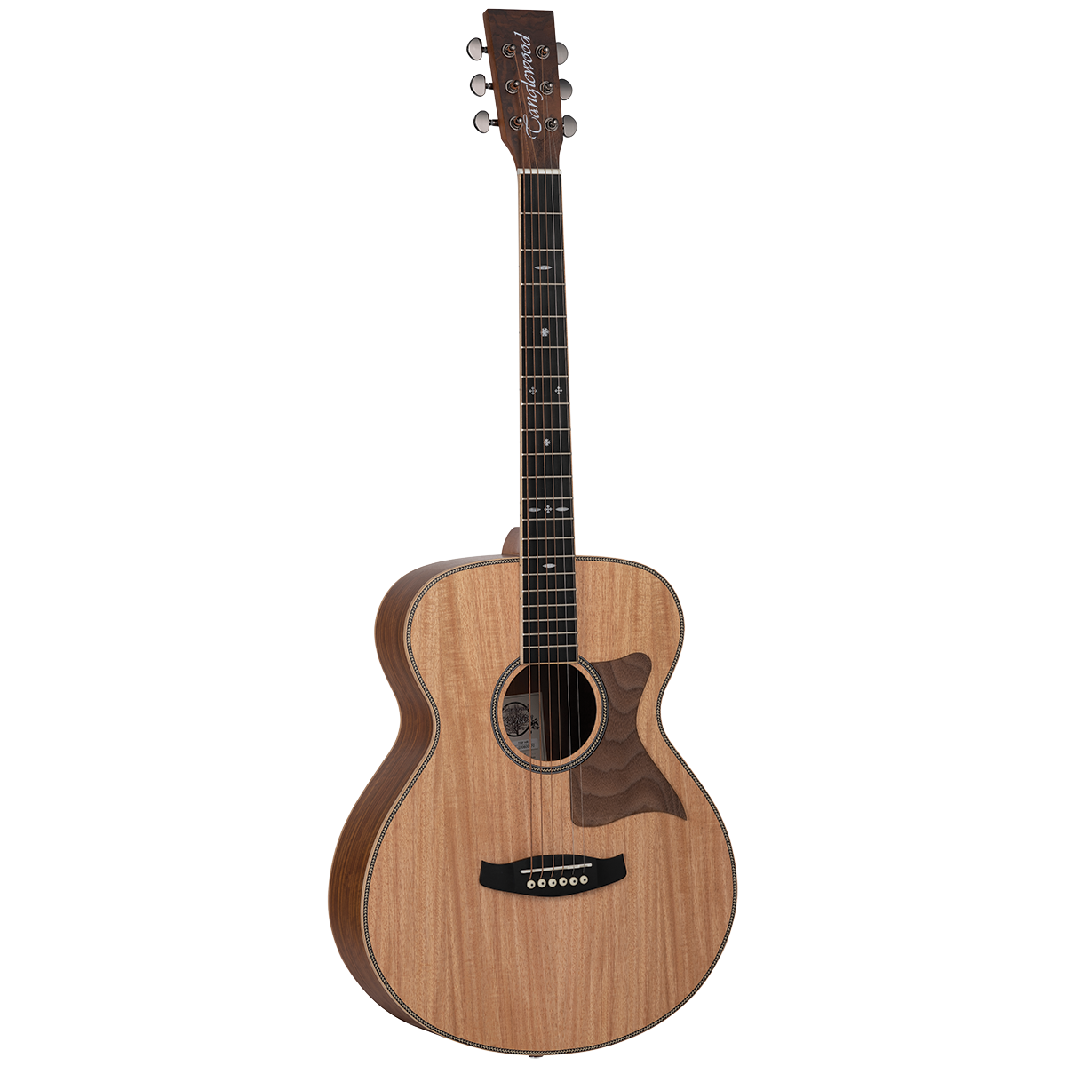 Tanglewood TRFHR Reunion Australian Red Cedar Top Folk with Hawaiian Rain Wood B/S