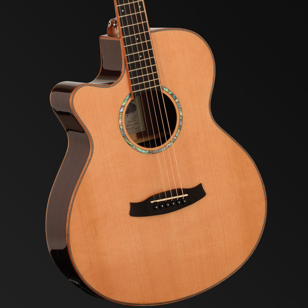 Tanglewood Rosewood Smart TRS4-CE-LH Left-Handed Acoustic Guitar with Enya Preamp System