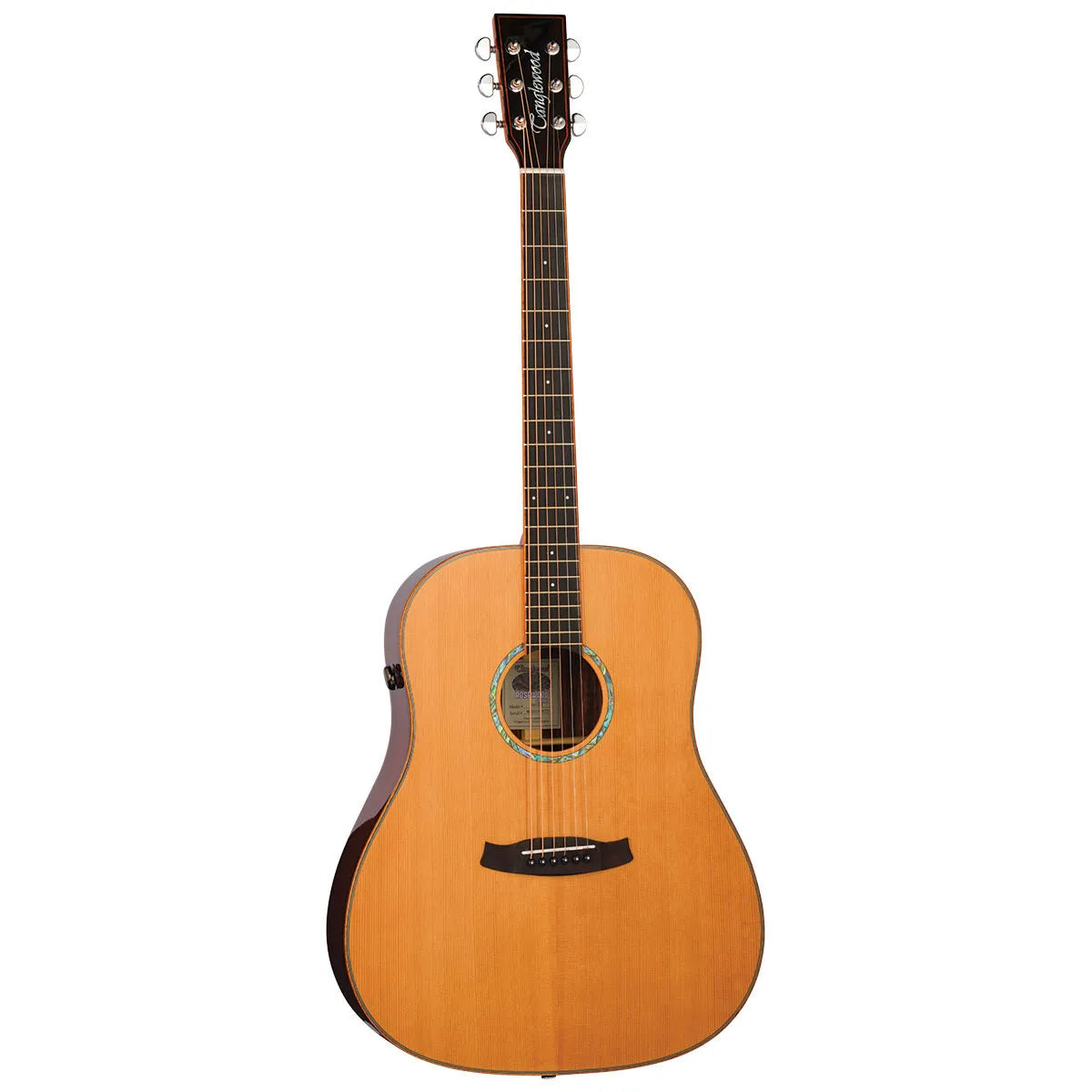 Tanglewood Rosewood Smart Sloped Shoulder Dreadnought Acoustic/Electric Guitar with Enya SP1 EQ System TRS5-SE — view 2