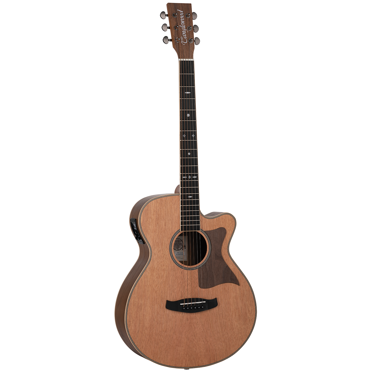 Tanglewood TRSFCEBW Reunion Australian Red Cedar Top Super Folk C/E with Black Walnut B/S