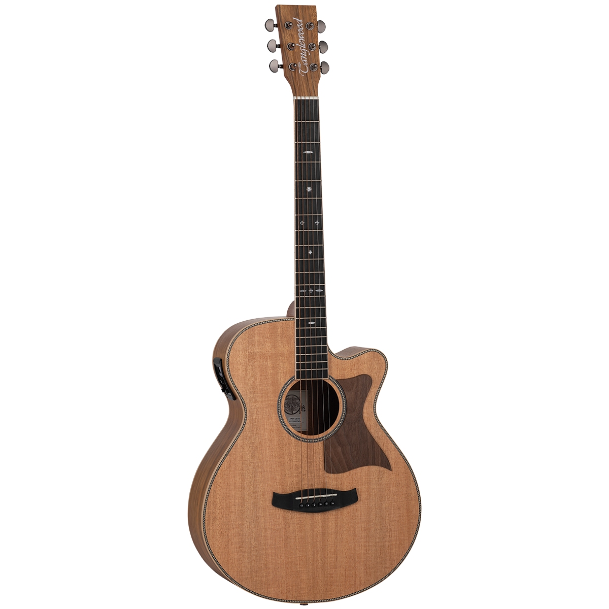 Tanglewood TRSFCEPW Reunion Australian Red Cedar Top Super Folk C/E with Pacific Walnut B/S