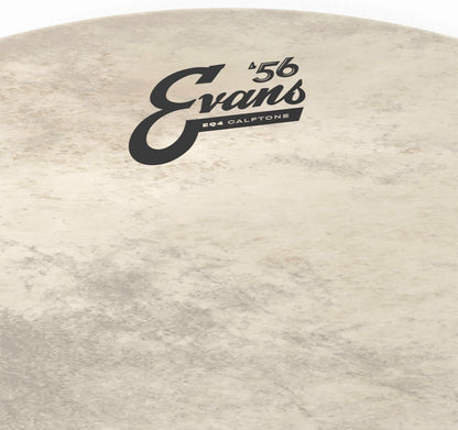Evans 16 Inch EQ4 Calftone Drum Head with Tom Hoop and Level 360 Technology — view 3