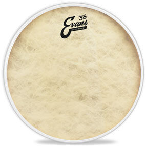 Evans 18" Calftone Drum Head