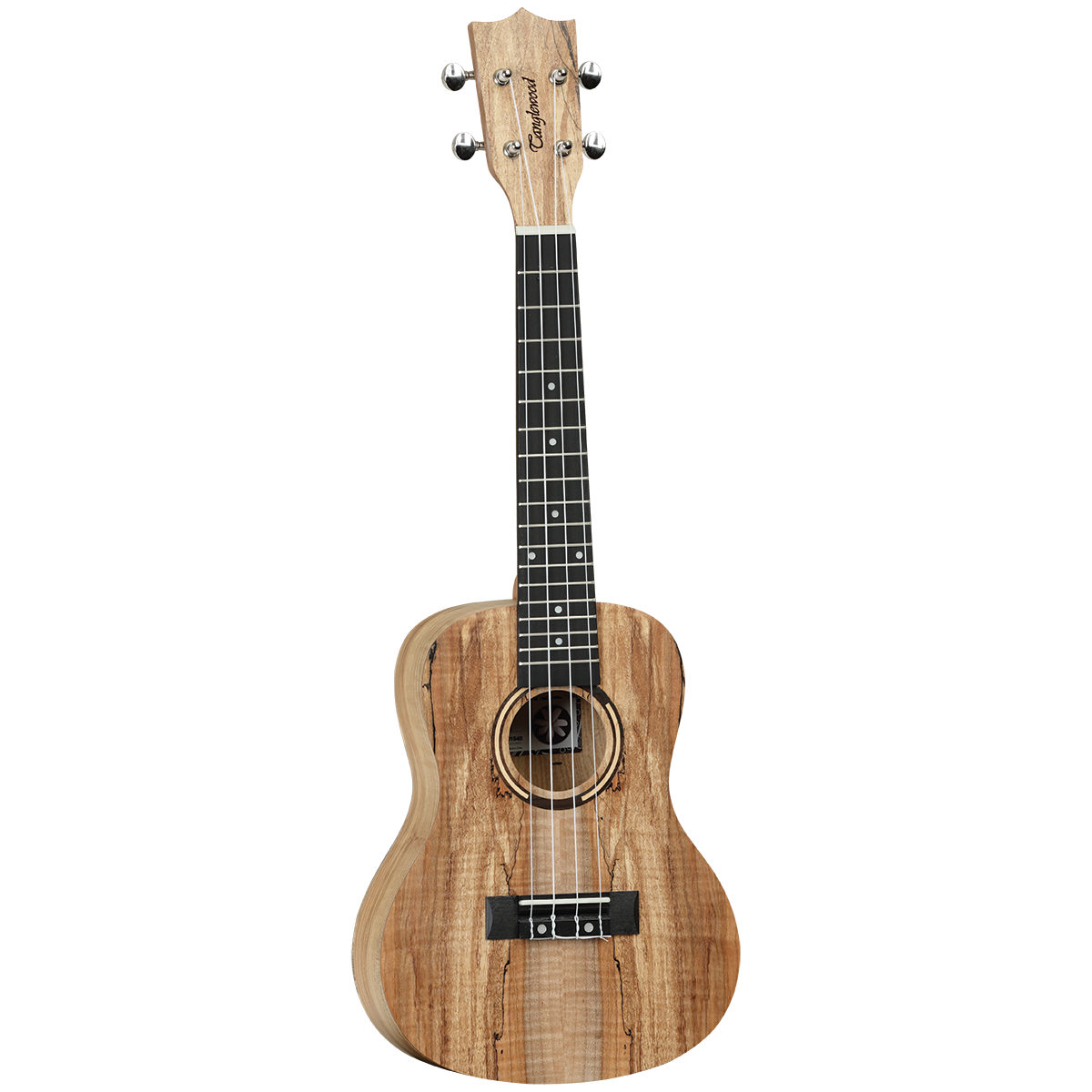 Tanglewood TWT10 Tiare Concert Ukulele All Spalted Maple with Gig Bag