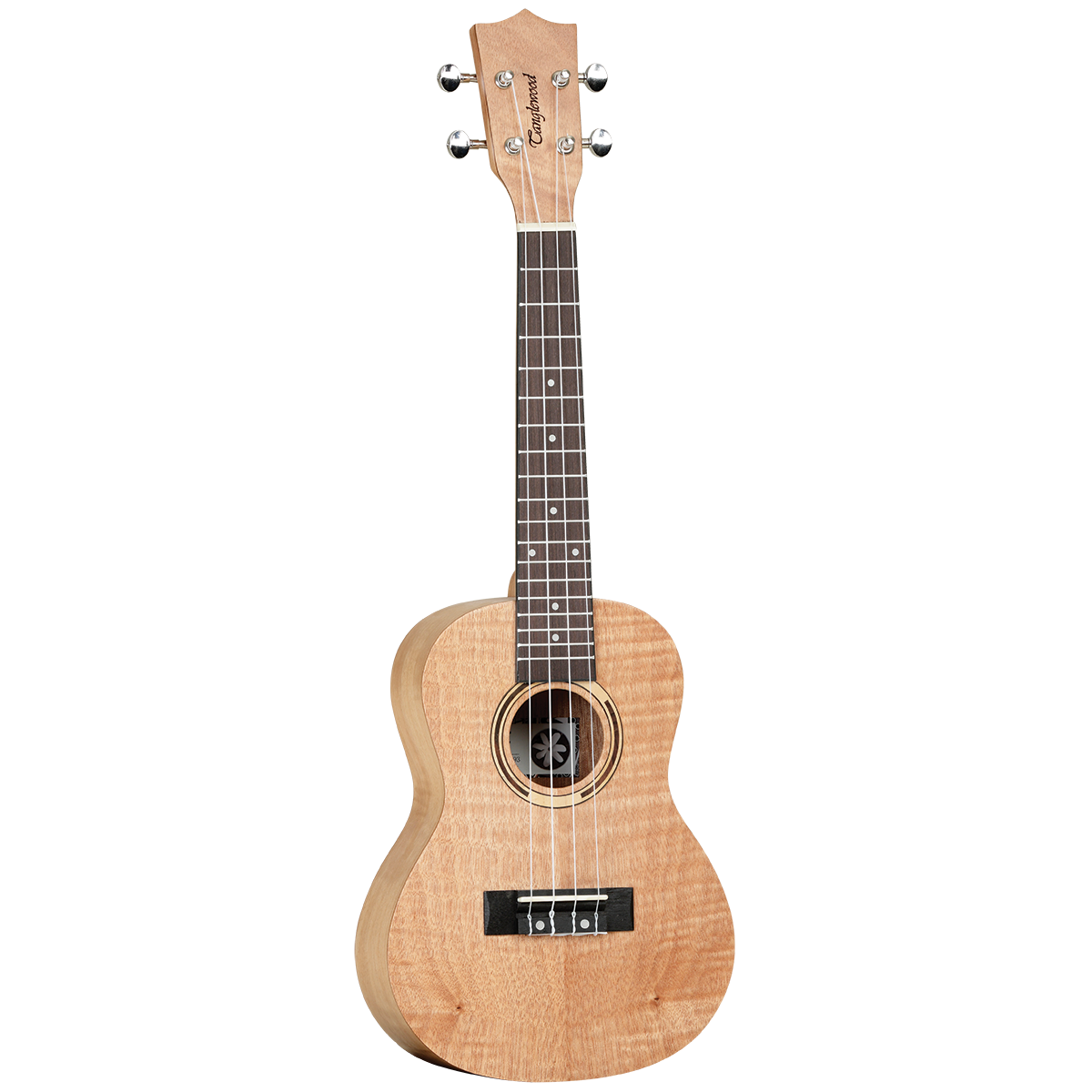 Tanglewood TWT6B Tiare Concert Ukulele Flame Mahogany with Gig Bag — view 2