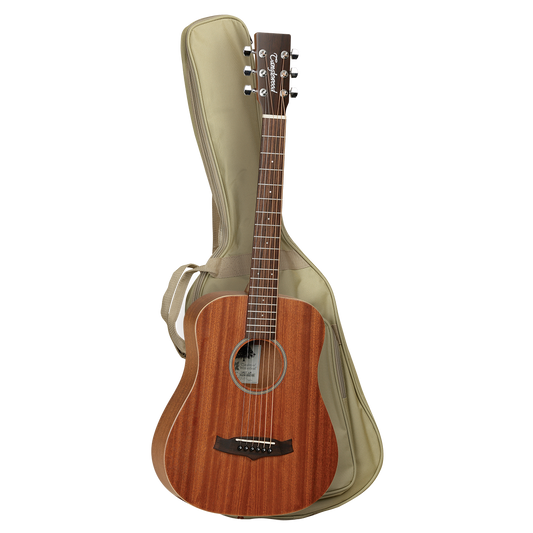 Tanglewood TW2TLH Winterleaf Traveller Mahogany Left Handed w/ bag