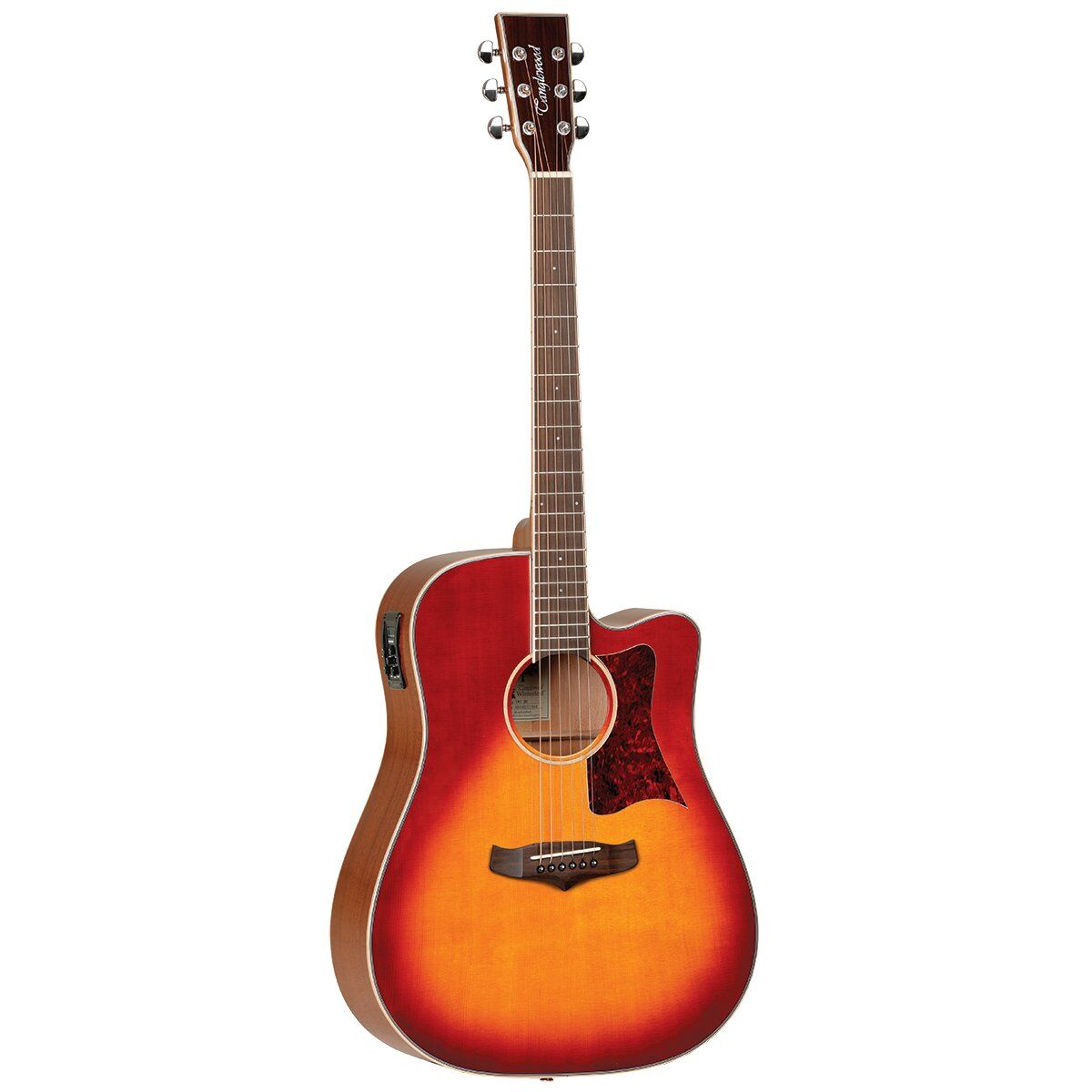 Tanglewood TW5SB Winterleaf Dreadnought Cutaway Acoustic Electric Sunburst — view 4