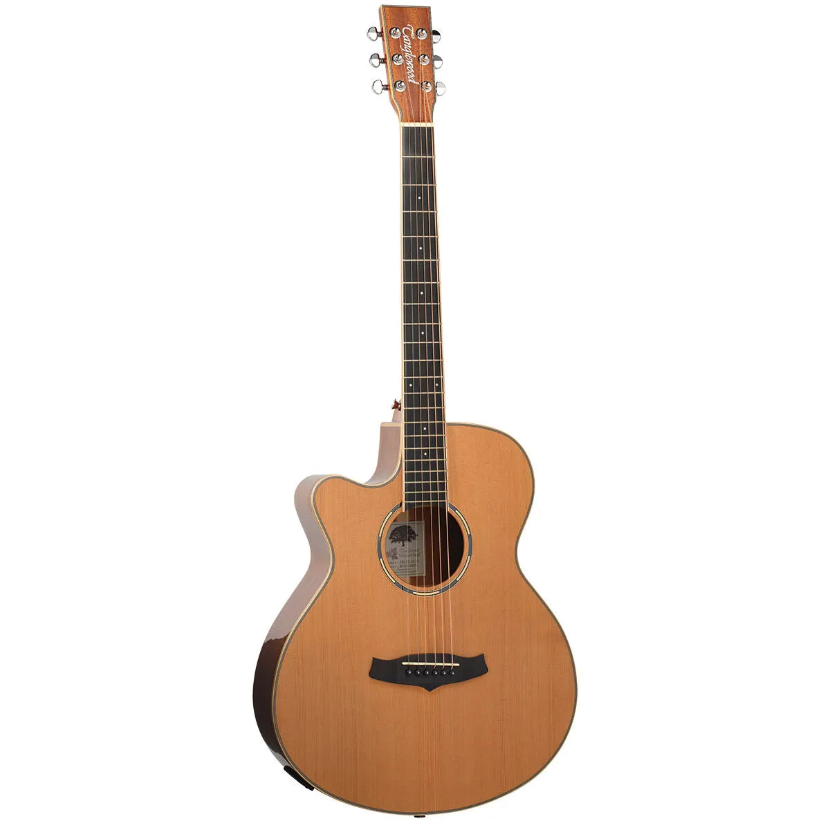 Tanglewood Winterleaf Pro Super Folk C/E Left-Hand Acoustic Guitar TWPRO4-CE-NA-LH — view 2