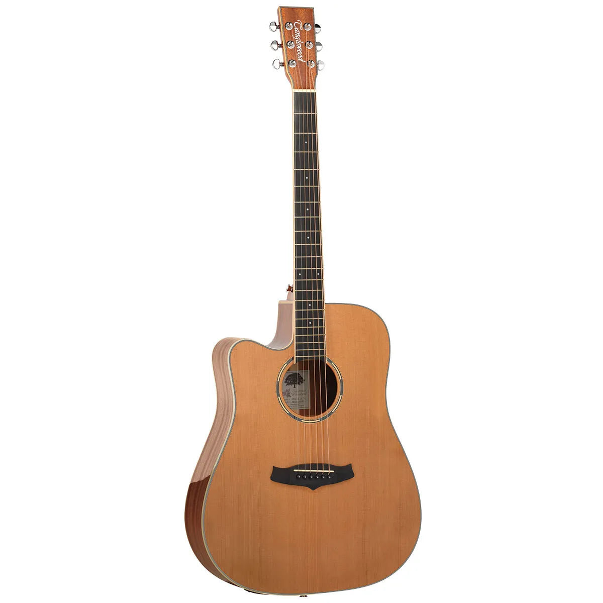 Tanglewood Winterleaf Pro Dreadnought C/E Acoustic Left Handed Guitar TWPRO5-CE-NA-LH — view 2