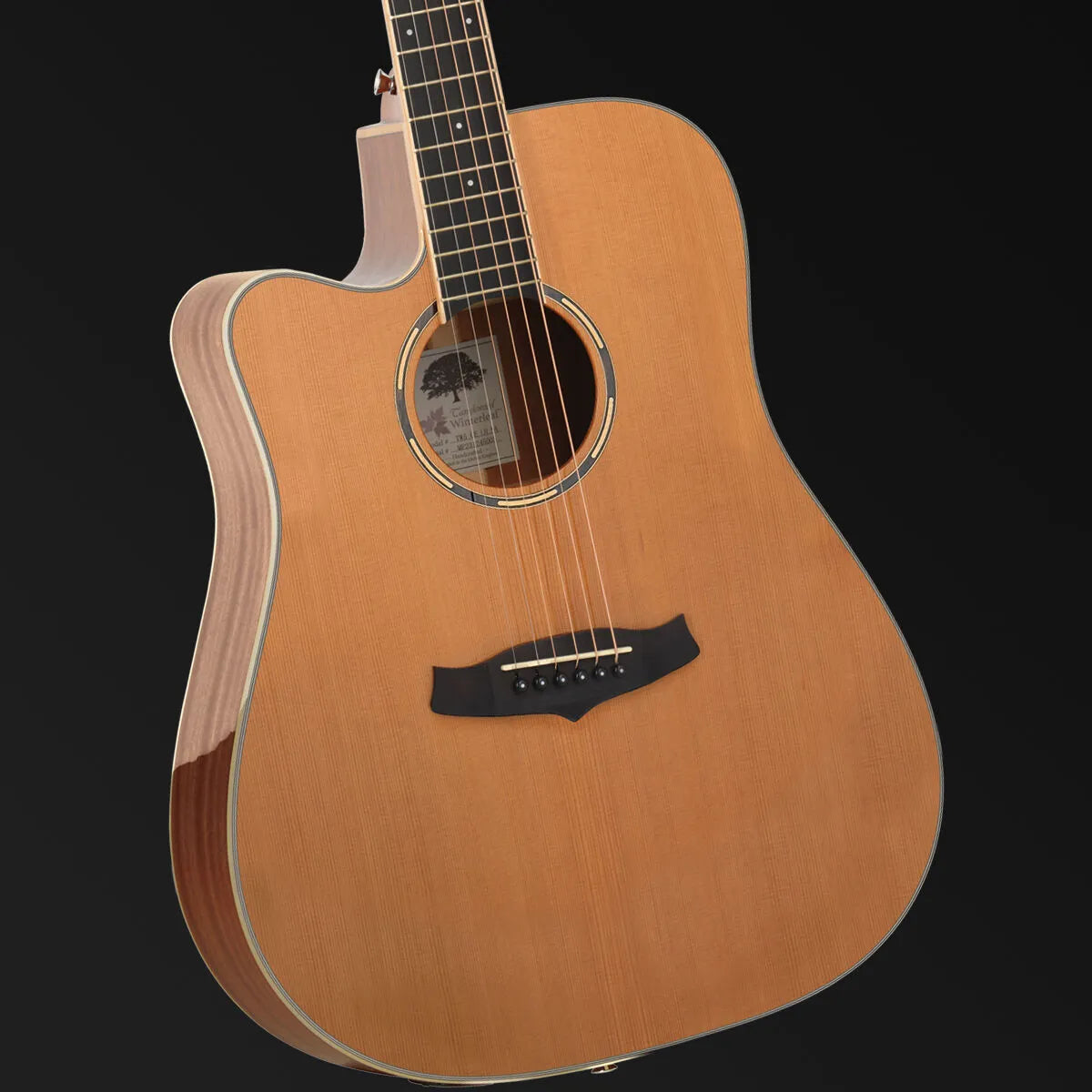 Tanglewood Winterleaf Pro Dreadnought C/E Acoustic Left Handed Guitar TWPRO5-CE-NA-LH