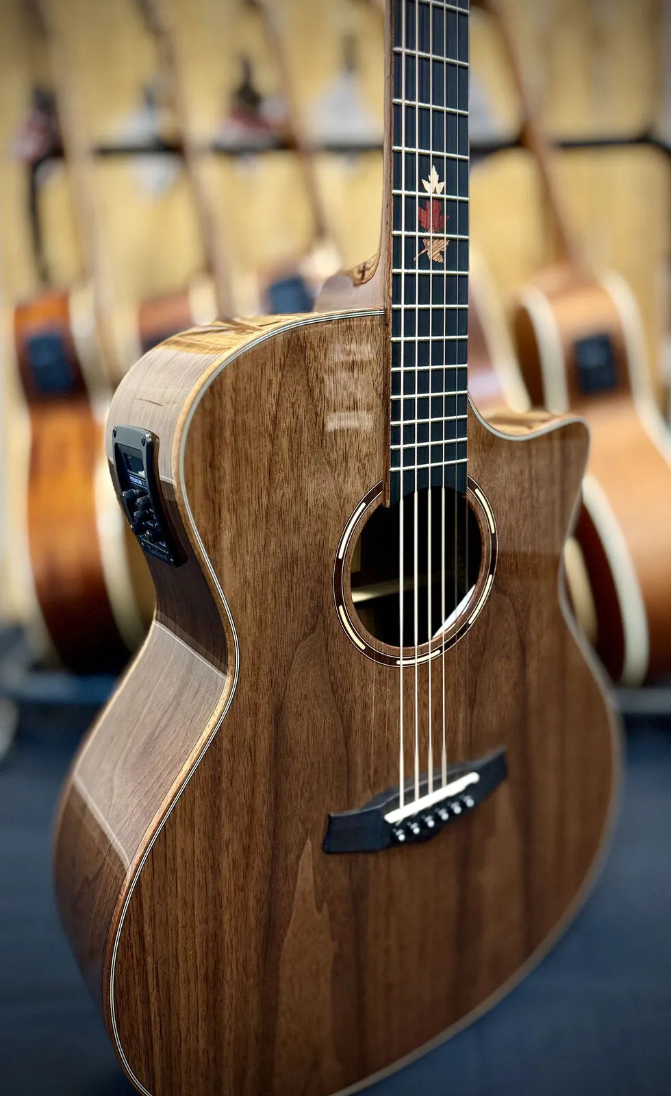 Tanglewood Winterleaf Exotic Superfolk Solid Top Venetian Cutaway Guitar Black Walnut TWX6-CE-BW — view 4