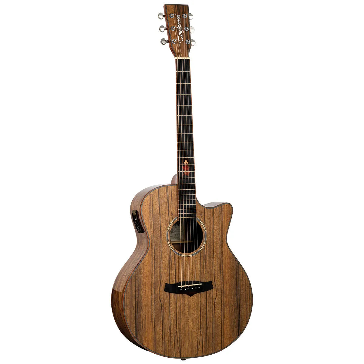 Tanglewood Winterleaf Exotic Superfolk Solid Top Venetian Cutaway Guitar Black Walnut TWX6-CE-BW — view 2