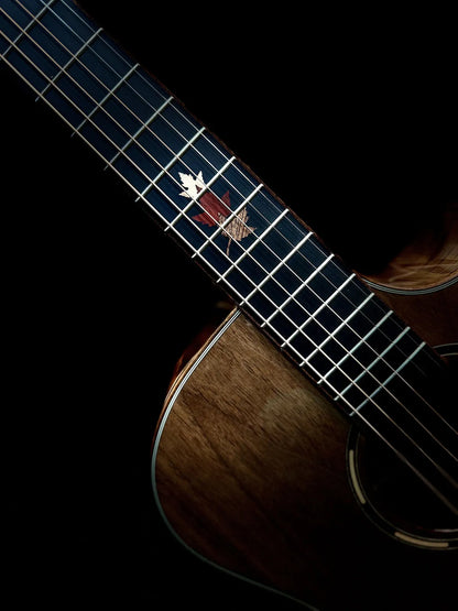 Tanglewood Winterleaf Exotic Superfolk Solid Top Venetian Cutaway Guitar Black Walnut TWX6-CE-BW — view 5