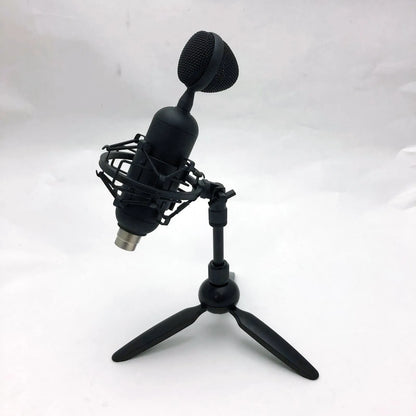 USB Condenser Studio Microphone with Desk Stand, USB Cable, and Carry Bag