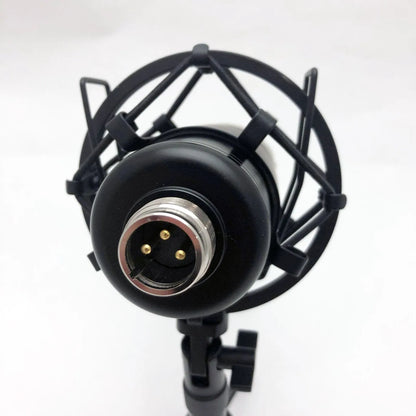 Condenser Studio Microphone with Desk Stand, USB Cable, and Carry Bag — view 4