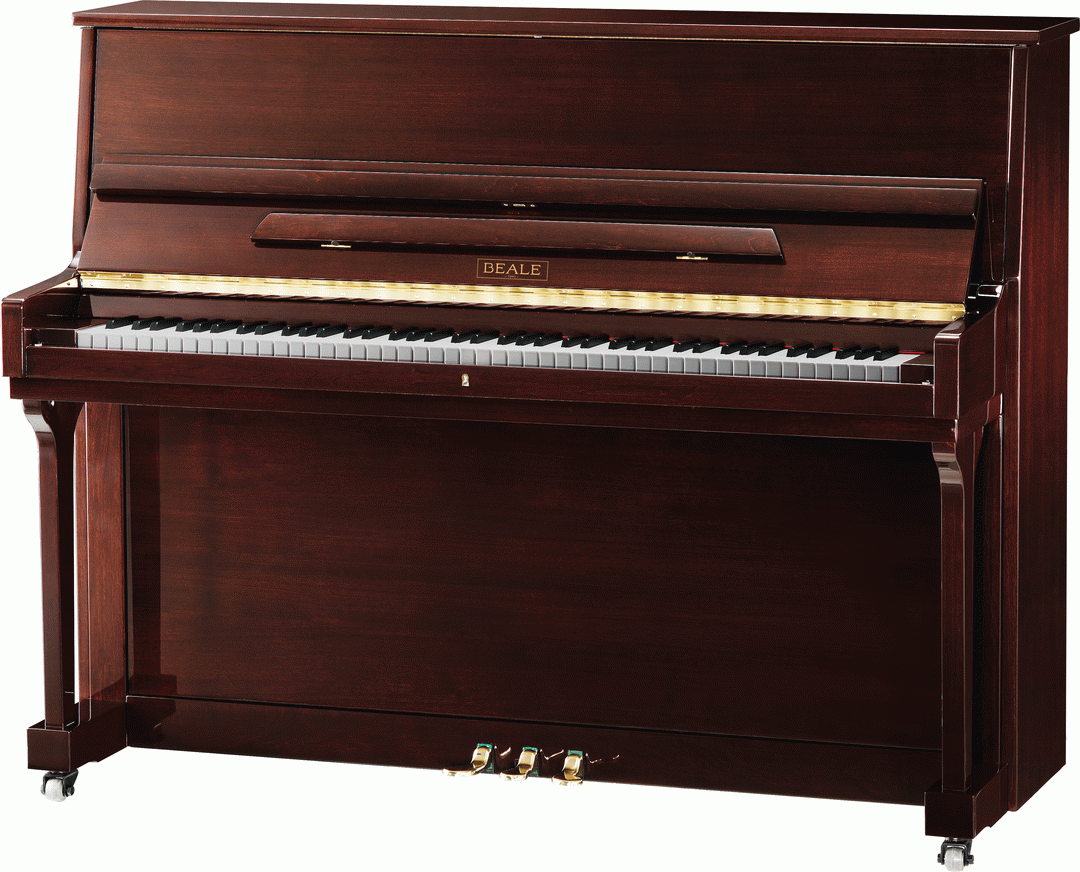 9398372AUSTRALIS Australis